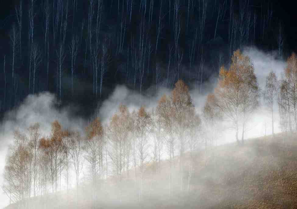 در جستجوی خوشبختی
