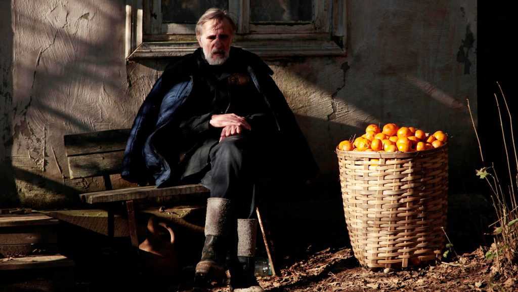 ایوو در کنار محصول نارنگی یک عکس زیبا از فیلم