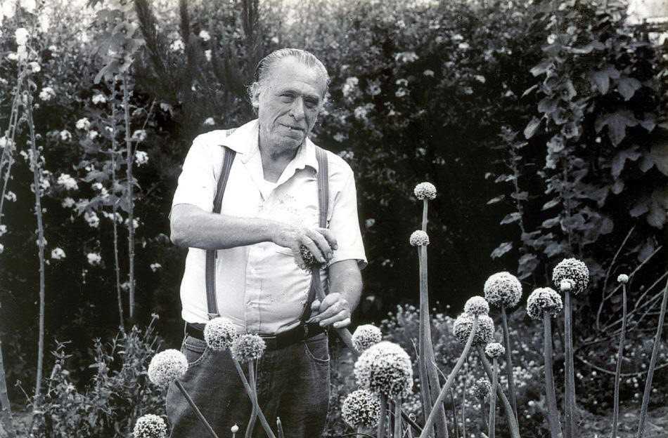 چارلز بوکوفسکی، ایستاده در میان گل‌های بلند باغ
