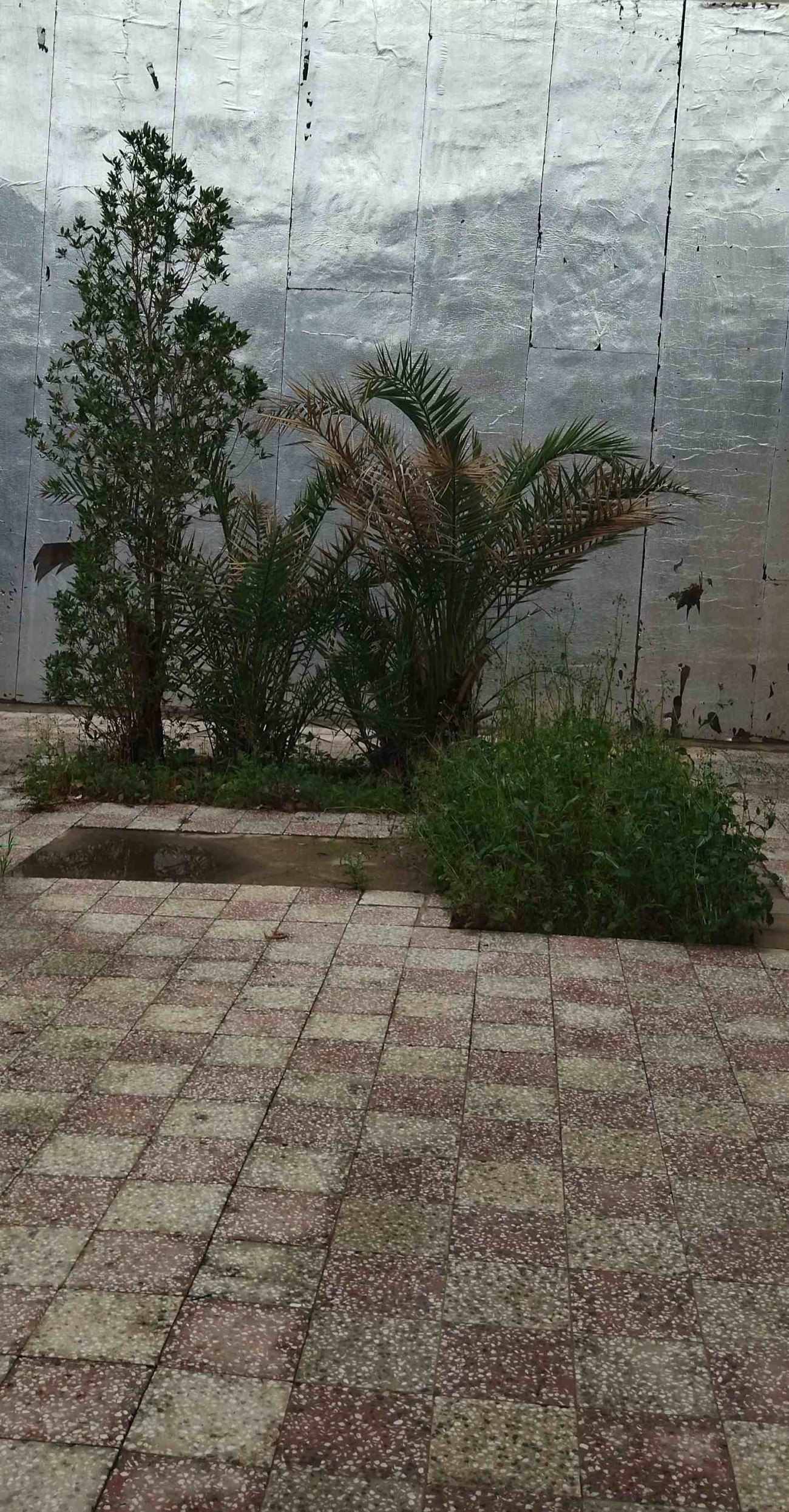 حیاط بدون کنار